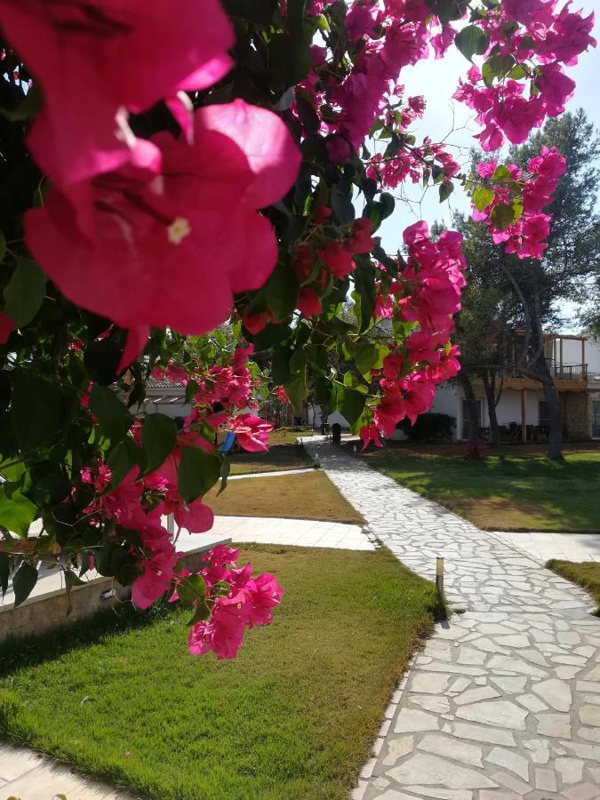 Marzi Beach And Bungalows Hotel Kokkonion Bagian luar foto