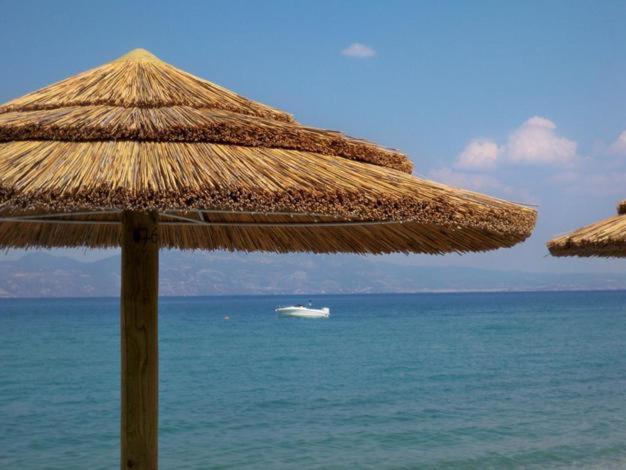 Marzi Beach And Bungalows Hotel Kokkonion Bagian luar foto